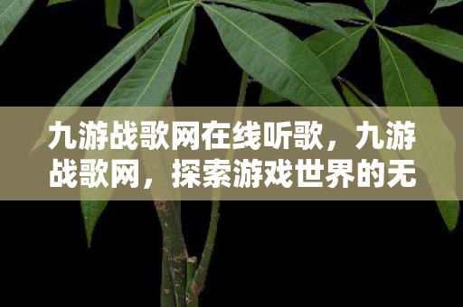 九游战歌网在线听歌，九游战歌网，探索游戏世界的无限可能