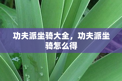 功夫派坐骑大全,功夫派坐骑怎么得 功夫派坐骑大全,功夫派坐骑怎么得