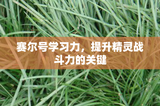 赛尔号学习力,提升精灵战斗力的关键 赛尔号学习力,提升精灵战斗力的关键