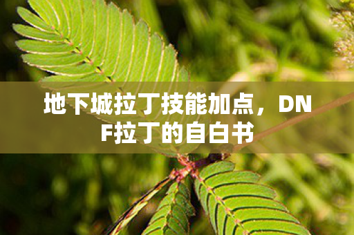 地下城拉丁技能加点,DNF拉丁的自白书 地下城拉丁技能加点,DNF拉丁的自白书
