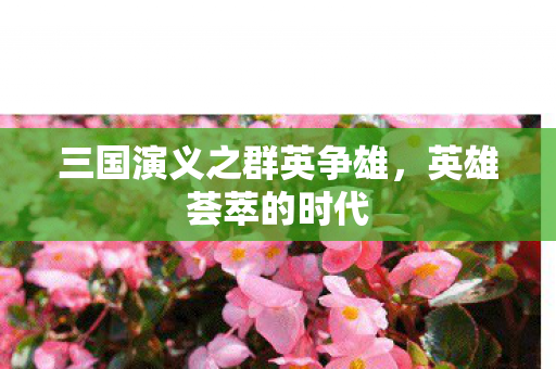 三国演义之群英争雄，英雄荟萃的时代