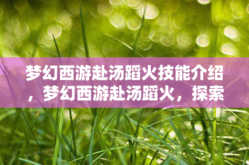 梦幻西游赴汤蹈火技能介绍,梦幻西游赴汤蹈火,探索经典游戏的激情与坚持 梦幻西游赴汤蹈火技能介绍,梦幻西游赴汤蹈火,探索经典游戏的激情与坚持