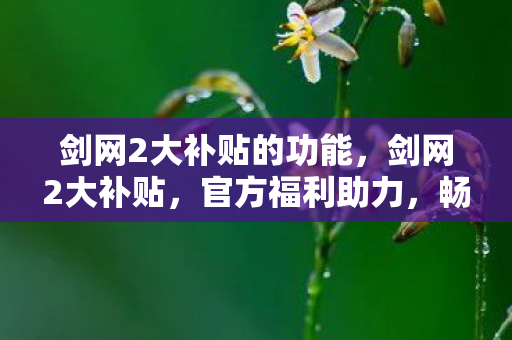 剑网2大补贴的功能,剑网2大补贴,官方福利助力,畅游江湖无忧 剑网2大补贴的功能,剑网2大补贴,官方福利助力,畅游江湖无忧