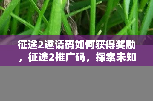 征途2邀请码如何获得奖励,征途2推广码,探索未知,开启全新冒险之旅 征途2邀请码如何获得奖励,征途2推广码,探索未知,开启全新冒险之旅