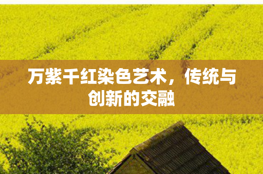万紫千红染色艺术,传统与创新的交融 万紫千红染色艺术,传统与创新的交融