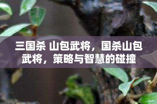三国杀 山包武将，国杀山包武将，策略与智慧的碰撞