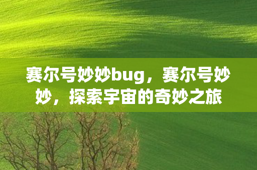 赛尔号妙妙bug，赛尔号妙妙，探索宇宙的奇妙之旅