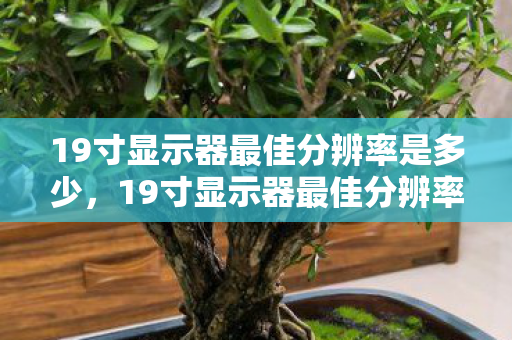 19寸显示器最佳分辨率是多少，19寸显示器最佳分辨率，打造清晰视觉体验
