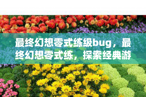 最终幻想零式练级bug,最终幻想零式练,探索经典游戏的深度与魅力 最终幻想零式练级bug,最终幻想零式练,探索经典游戏的深度与魅力