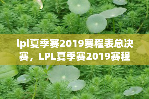 lpl夏季赛2019赛程表总决赛,LPL夏季赛2019赛程表,激情与荣耀的盛宴 lpl夏季赛2019赛程表总决赛,LPL夏季赛2019赛程表,激情与荣耀的盛宴
