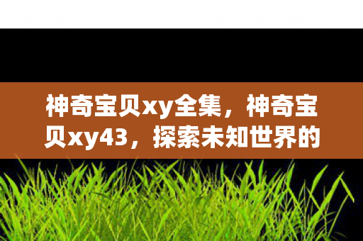 神奇宝贝xy全集，神奇宝贝xy43，探索未知世界的奇幻之旅