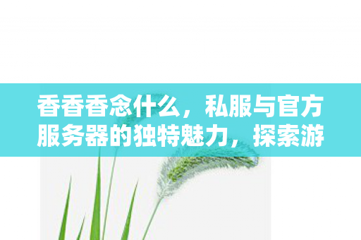 香香香念什么，私服与官方服务器的独特魅力，探索游戏世界的不同维度