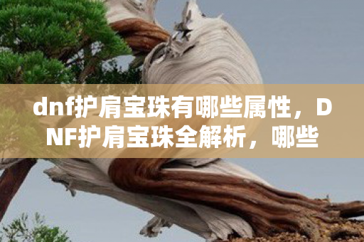 dnf护肩宝珠有哪些属性，DNF护肩宝珠全解析，哪些宝珠值得推荐？