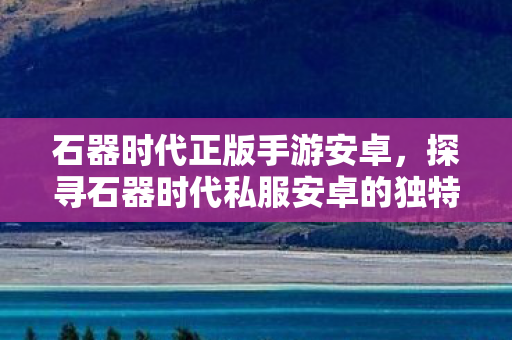 石器时代正版手游安卓,探寻石器时代私服安卓的独特魅力 石器时代正版手游安卓,探寻石器时代私服安卓的独特魅力