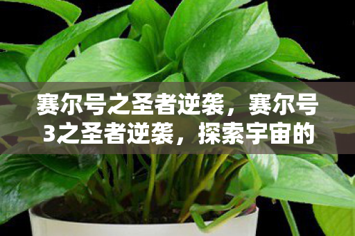 赛尔号之圣者逆袭,赛尔号3之圣者逆袭,探索宇宙的奥秘与圣者的传奇 赛尔号之圣者逆袭,赛尔号3之圣者逆袭,探索宇宙的奥秘与圣者的传奇