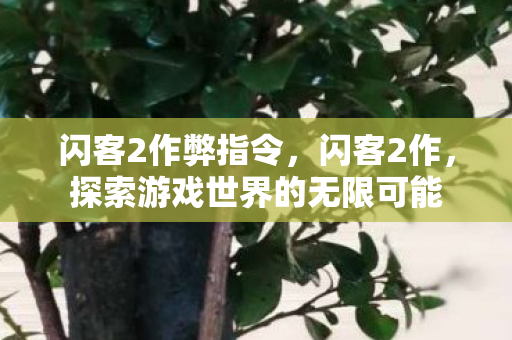 闪客2作弊指令，闪客2作，探索游戏世界的无限可能