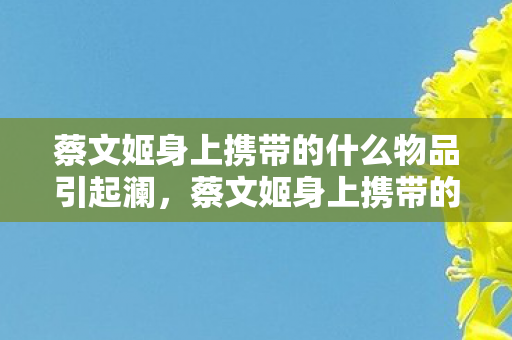 蔡文姬身上携带的什么物品引起澜，蔡文姬身上携带的什么物引起澜