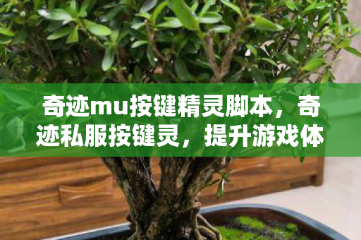 奇迹mu按键精灵脚本,奇迹私服按键灵,提升游戏体验的得力助手 奇迹mu按键精灵脚本,奇迹私服按键灵,提升游戏体验的得力助手