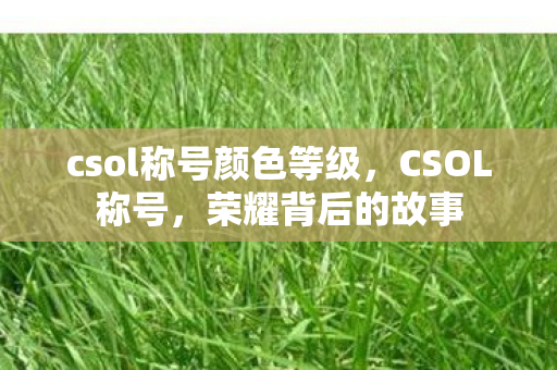 csol称号颜色等级,CSOL称号,荣耀背后的故事 csol称号颜色等级,CSOL称号,荣耀背后的故事