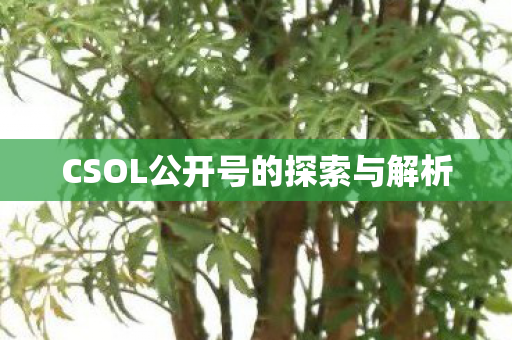 CSOL公开号的探索与解析 CSOL公开号的探索与解析