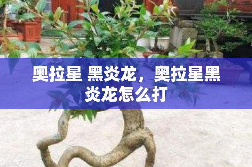 奥拉星 黑炎龙,奥拉星黑炎龙怎么打 奥拉星 黑炎龙,奥拉星黑炎龙怎么打