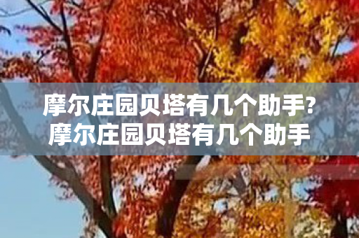 摩尔庄园贝塔有几个助手?摩尔庄园贝塔有几个助手 摩尔庄园贝塔有几个助手?摩尔庄园贝塔有几个助手