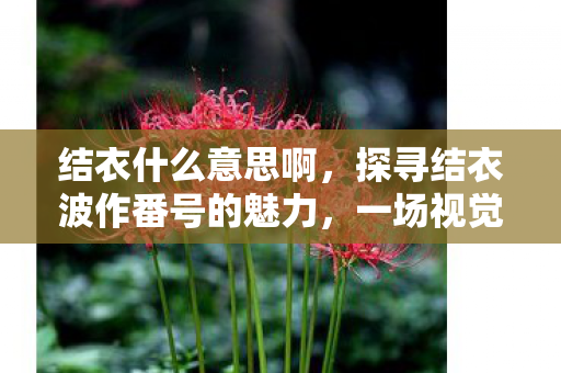 结衣什么意思啊,探寻结衣波作番号的魅力,一场视觉与情感的盛宴 结衣什么意思啊,探寻结衣波作番号的魅力,一场视觉与情感的盛宴