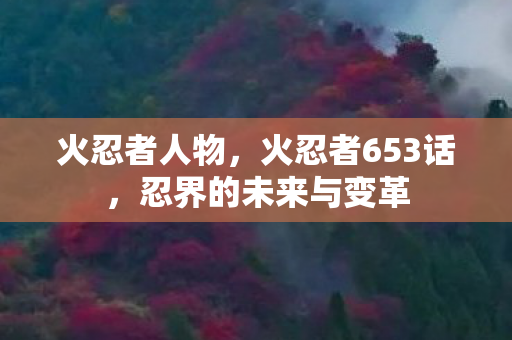 火忍者人物,火忍者653话,忍界的未来与变革 火忍者人物,火忍者653话,忍界的未来与变革