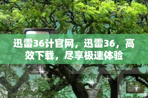 迅雷36计官网,迅雷36,高效下载,尽享极速体验 迅雷36计官网,迅雷36,高效下载,尽享极速体验