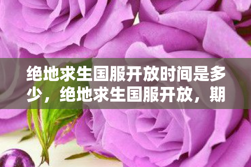 绝地求生国服开放时间是多少,绝地求生国服开放,期待与现实的交织 绝地求生国服开放时间是多少,绝地求生国服开放,期待与现实的交织