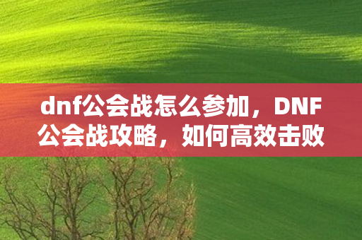 dnf公会战怎么参加,DNF公会战攻略,如何高效击败对手 dnf公会战怎么参加,DNF公会战攻略,如何高效击败对手