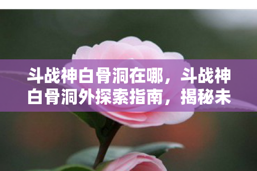 斗战神白骨洞在哪,斗战神白骨洞外探索指南,揭秘未知领域的奇幻之旅 斗战神白骨洞在哪,斗战神白骨洞外探索指南,揭秘未知领域的奇幻之旅