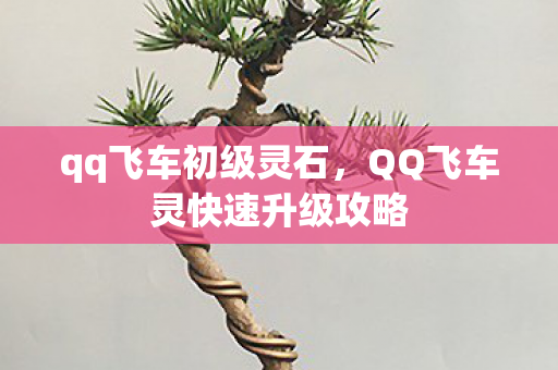qq飞车初级灵石,QQ飞车灵快速升级攻略 qq飞车初级灵石,QQ飞车灵快速升级攻略