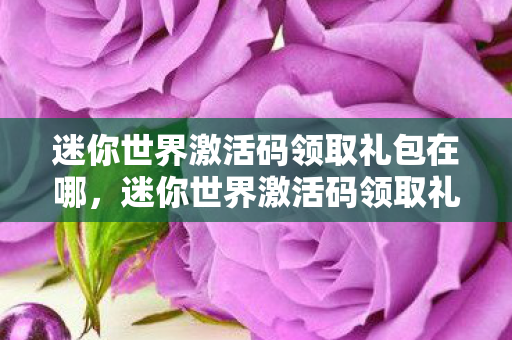 迷你世界激活码领取礼包在哪,迷你世界激活码领取礼包全攻略 迷你世界激活码领取礼包在哪,迷你世界激活码领取礼包全攻略