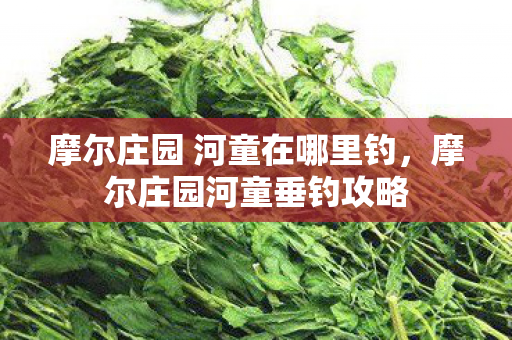 摩尔庄园 河童在哪里钓,摩尔庄园河童垂钓攻略 摩尔庄园 河童在哪里钓,摩尔庄园河童垂钓攻略