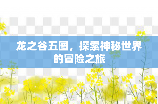 龙之谷五图，探索神秘世界的冒险之旅