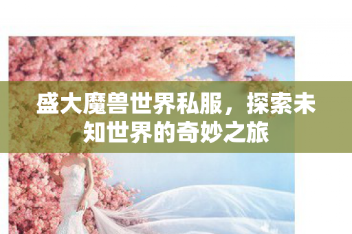 盛大魔兽世界私服,探索未知世界的奇妙之旅 盛大魔兽世界私服,探索未知世界的奇妙之旅