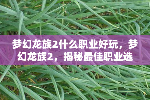 梦幻龙族2什么职业好玩,梦幻龙族2,揭秘最佳职业选择 梦幻龙族2什么职业好玩,梦幻龙族2,揭秘最佳职业选择