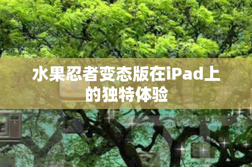 水果忍者变态版在iPad上的独特体验 水果忍者变态版在iPad上的独特体验