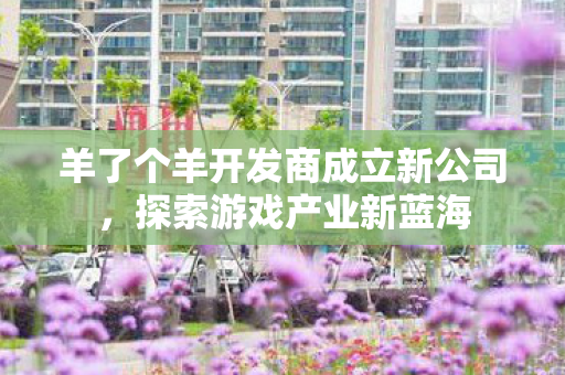 羊了个羊开发商成立新公司,探索游戏产业新蓝海 羊了个羊开发商成立新公司,探索游戏产业新蓝海