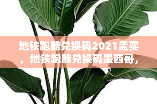 地铁跑酷兑换码2021孟买,地铁跑酷兑换码墨西哥,解锁无限可能的冒险之旅 地铁跑酷兑换码2021孟买,地铁跑酷兑换码墨西哥,解锁无限可能的冒险之旅
