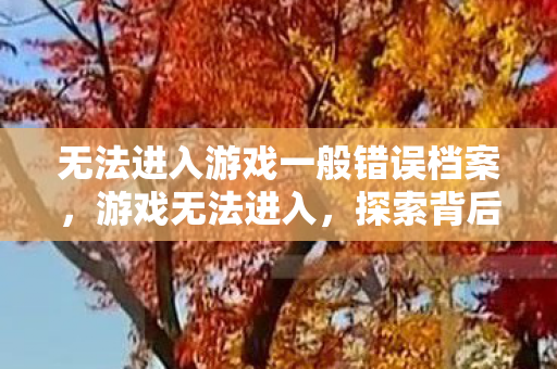 无法进入游戏一般错误档案,游戏无法进入,探索背后的原因与解决方案 无法进入游戏一般错误档案,游戏无法进入,探索背后的原因与解决方案