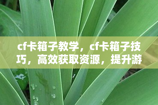 cf卡箱子教学,cf卡箱子技巧,高效获取资源,提升游戏胜率 cf卡箱子教学,cf卡箱子技巧,高效获取资源,提升游戏胜率