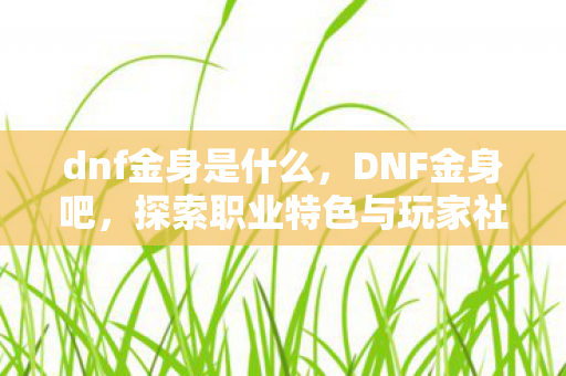 dnf金身是什么，DNF金身吧，探索职业特色与玩家社区的魅力