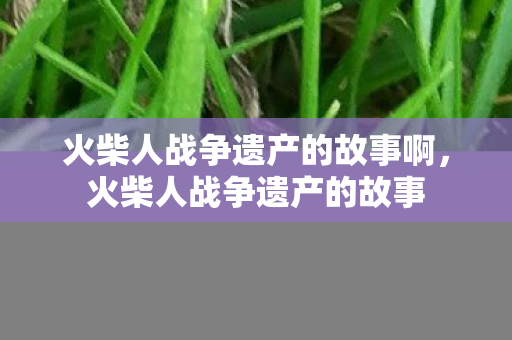 火柴人战争遗产的故事啊，火柴人战争遗产的故事