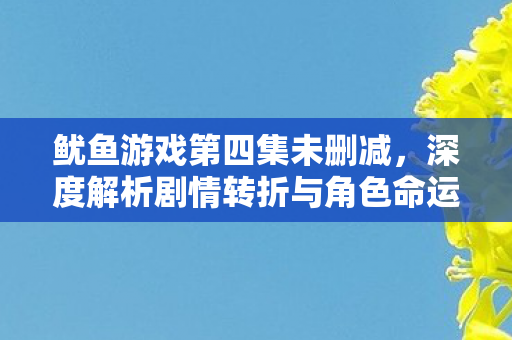 鱿鱼游戏第四集未删减，深度解析剧情转折与角色命运
