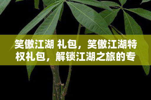 笑傲江湖 礼包,笑傲江湖特权礼包,解锁江湖之旅的专属秘籍 笑傲江湖 礼包,笑傲江湖特权礼包,解锁江湖之旅的专属秘籍