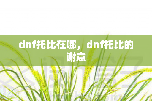 dnf托比在哪,dnf托比的谢意 dnf托比在哪,dnf托比的谢意
