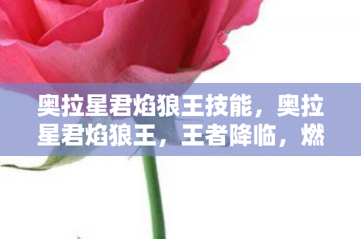 奥拉星君焰狼王技能,奥拉星君焰狼王,王者降临,燃尽星辰的炽热之魂 奥拉星君焰狼王技能,奥拉星君焰狼王,王者降临,燃尽星辰的炽热之魂