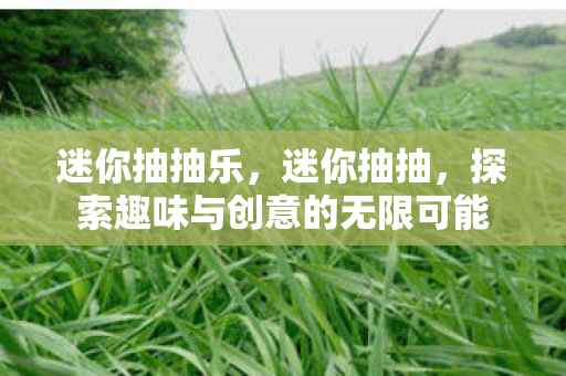 迷你抽抽乐,迷你抽抽,探索趣味与创意的无限可能 迷你抽抽乐,迷你抽抽,探索趣味与创意的无限可能